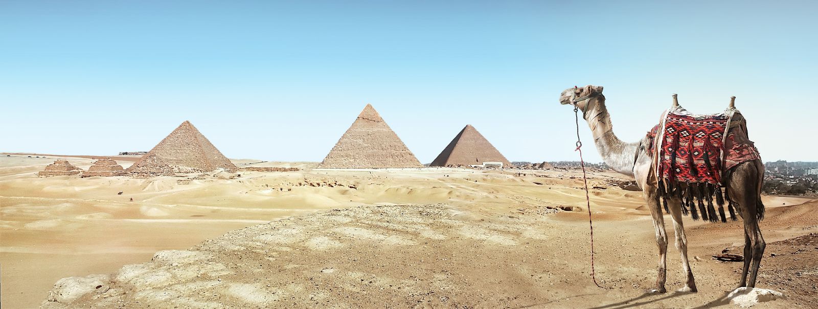 Pyramids with camel